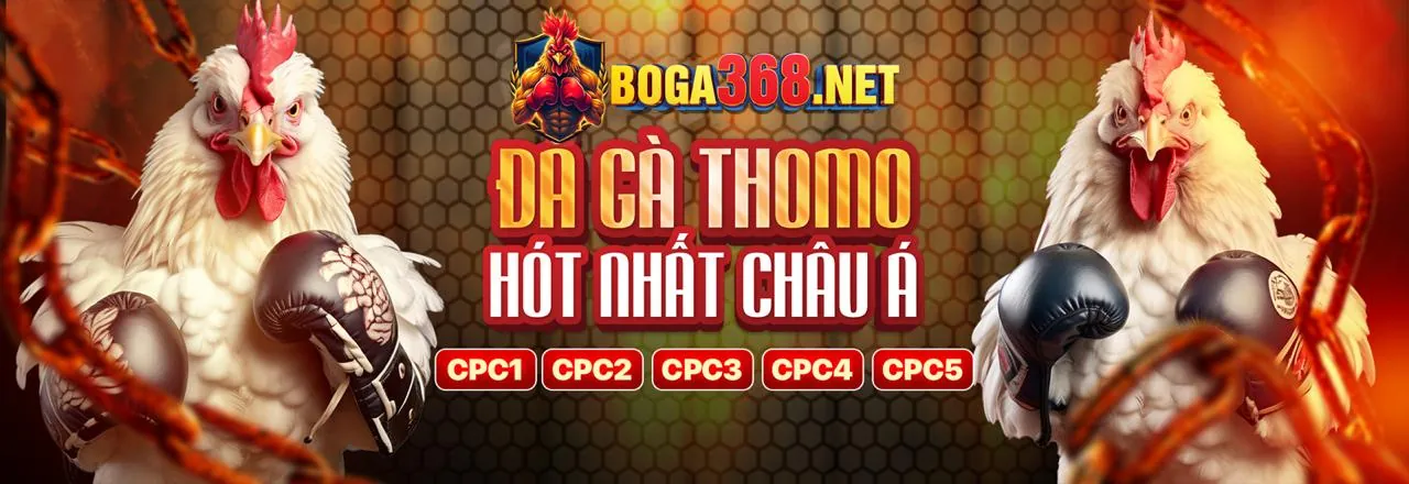 Nhập tên đăng nhập và mật khẩu VFF88