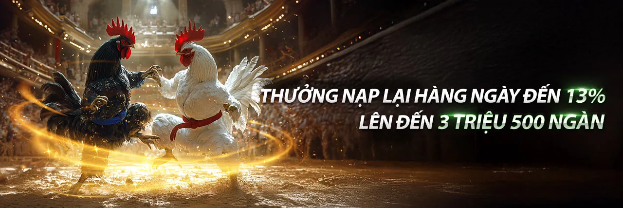 Đá gà trực tuyến vff88
